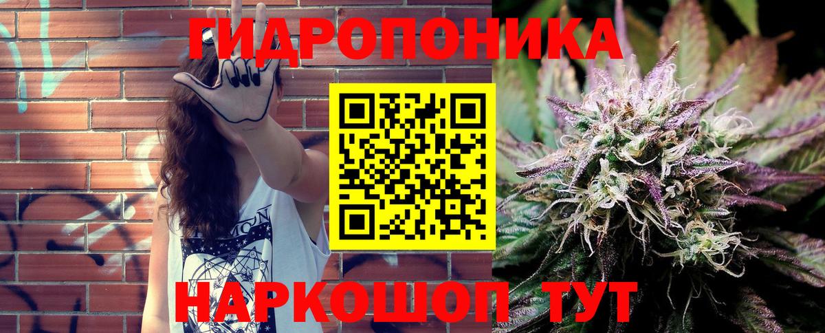 Каннабис планчик Волжск
